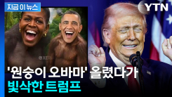 트럼프 SNS에 나타난 \'원숭이 오바마\'...12시간 만에 후다닥 삭제 [지금이뉴스]