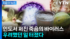 딴 나라서 사망자 발생...\'치명률 75%\' 바이러스 심상치 않은 조짐 [지금이뉴스] 