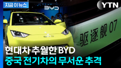 "1년 전보다 142% 증가"...현대차도 추월한 BYD 전기차 [지금이뉴스]