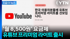 \'뮤직\' 빼고 가벼워진다...\'유튜브 프리미엄 라이트\' 국내 출시 [지금이뉴스]