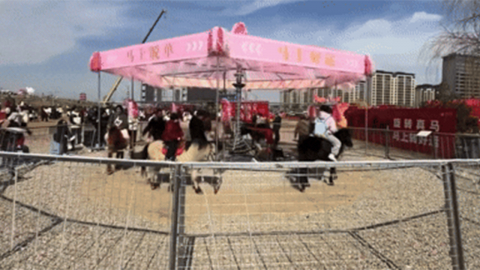 살아있는 말로 ’회전목마’…중국에서 동물 학대 논란