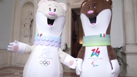 "숨을 곳이 없어요"…'티나'를 구해주세요!