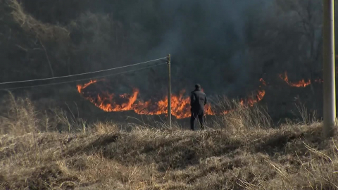 설 연휴 산불 위험 \'최고조\'…정부, 대국민 담화