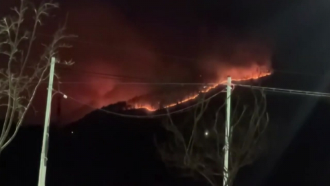 "성묘객 실화 20% 설 연휴"…고온 건조 속 '화약고' 우려