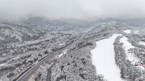 강원 동해안 10cm 폭설…산불 걱정 해소