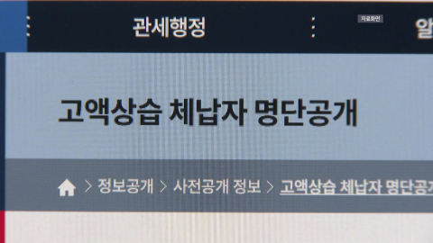관세 체납액 2년 연속 2조 원대...징수율은 6%