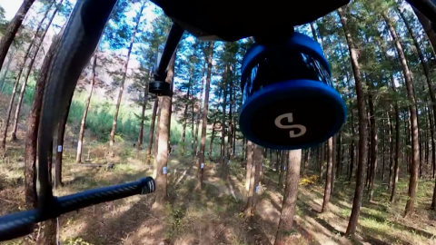 "사람 대신 드론이 척척"…산림 조사의 스마트한 진화