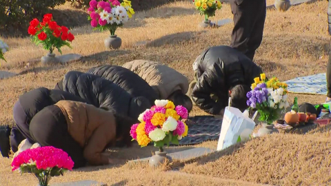 성묘객으로 추모공원 '북적'…실향민도 합동 차례