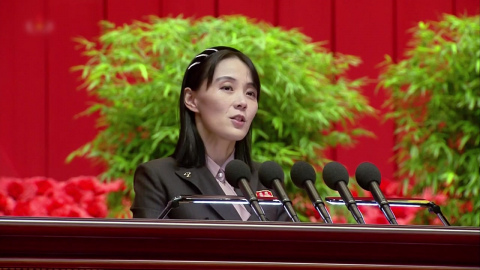 김여정 "정동영 재발방지 의지 높이 평가…남부국경 경계강화"