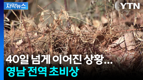 [자막뉴스] 지난해보다 70% 높아진 위험... 영남 전역 초비상