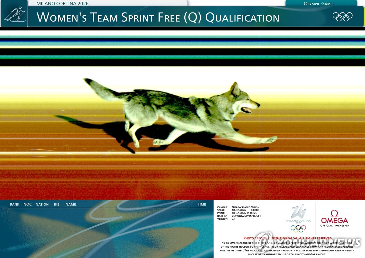 선수들 따라 질주한 반려견…올림픽 결승선 깜짝 동반 통과