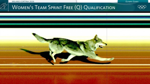 선수들 따라 질주한 반려견…올림픽 결승선 깜짝 동반 통과