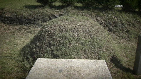 내 땅에 남의 묘가…후손 연락 안 받자 무단 파묘한 토지주