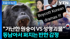 원숭이 이미지에 성형 조롱...한국·동남아 네티즌들 \'혐오 전면전\' [지금이뉴스]