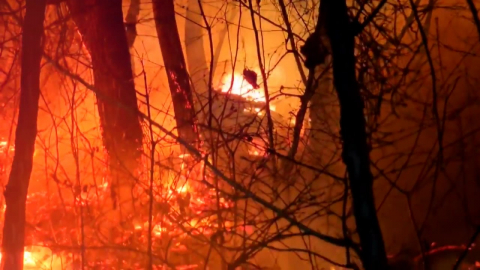 건조특보 확대 속 강풍까지…"주말 산불 초비상"