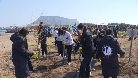 2월 나무 심기…기후변화 대응 본격화