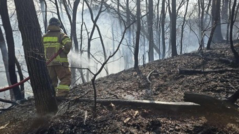  충남 예산군 대술면에 산불...'산불 1단계' 발령
