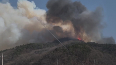 바싹 마른 날씨에 강풍까지…충남 예산 \'대응 1단계\' 발령