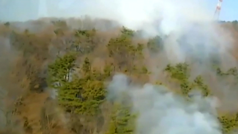 충남 예산·서산에서 발생한 산불 모두 주불 진화