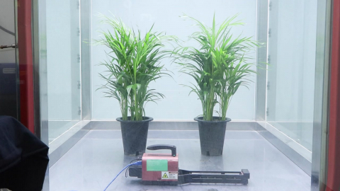 [녹색] "천연 가습기·공기청정기"…반려식물의 놀라운 효과