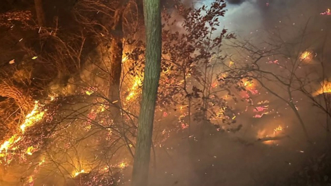 경남 함양 산불, 강풍 타고 확산...헬기 22대 투입 진화 중