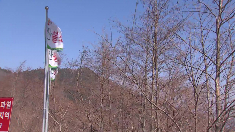 전국 곳곳에 강풍 특보…"산불 조심·시설물 점검 철저"