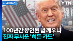 \'최대 50% 관세\' 트럼프 입맛에 딱...대법원 판결 뛰어넘는 관세법 338조 [지금이뉴스]