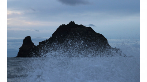 일본인 112명 "내 본적은 독도" 호적 도발...20년 만에 4.3배 늘어
