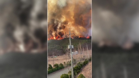 경남 밀양에서 산불…산불 1단계·국가소방동원령