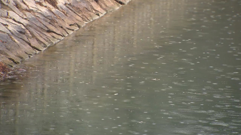 [날씨] "밀양 올해 강수일수 0일, 강수량 0mm", 화약고 수준…오전 단비