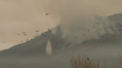 경남 밀양 산불 주불 진화…현장에는 '단비'