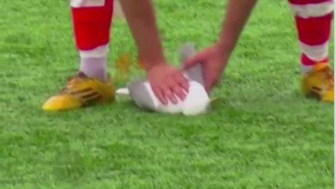 '축구보다 소중해!' 경기 중 갈매기 심폐소생술 [앵커리포트]