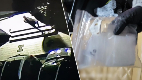 7급 공무원이 마약 유통·투약…CCTV 위치 알고 피했다