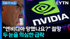 엔비디아 \'깜짝 실적\'도 소용없다...난감한 상황에 직면한 AI의 기둥 [굿모닝경제] 