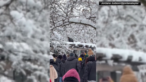 "그저 눈싸움" vs "경찰 폭행"…맨해튼 '눈싸움'에 뉴욕시장과 NYPD 갈등 재점화