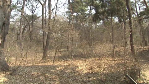 [날씨] 올봄 예년보다 따뜻하고 건조…가뭄·산불 우려