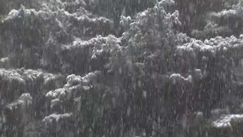[날씨] 전국 눈·비에 쌀쌀…강원 산간 대설경보, 최고 40cm 온다