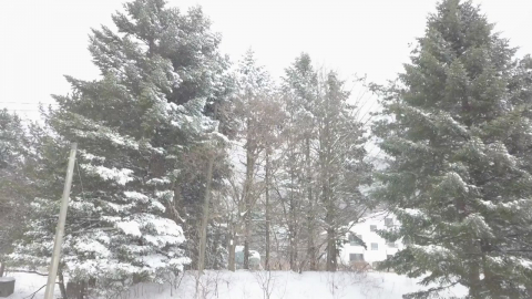 [날씨] 전국 비바람·강원 산간 \'대설경보\'…내일 아침 쌀쌀