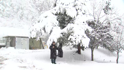 강원 산지 50㎝ 폭설…산불 걱정 덜었지만. 눈 피해 우려