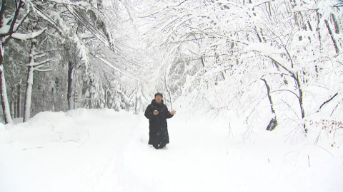 강원 산지 60㎝ 폭설…산불 걱정 덜었지만, 눈 피해 우려