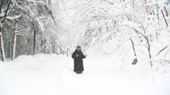 강원 산지 60㎝ 폭설...산불 걱정 덜었지만, 눈 피해 우려