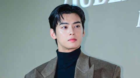 "200억 탈세, 더는 둘 수 없어"…'차은우 방지법' 발의