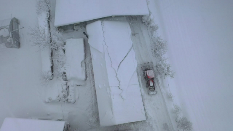 경칩 앞두고 60cm '눈 폭탄'...무거운 습설에 피해 잇따라