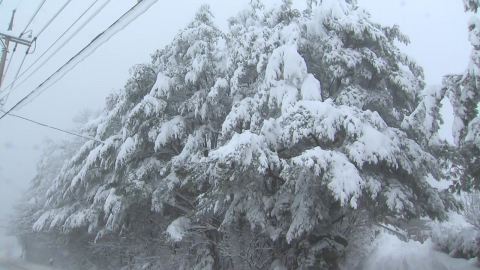 [출근길 YTN 날씨 3/5] 절기 \'경칩\', 큰 일교차·서쪽 초미세 \'나쁨\'…밤부터 전국 비·눈