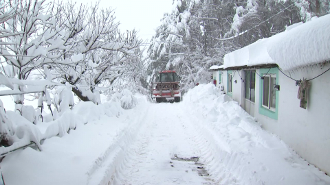 [날씨] 강원 산간 또 많은 눈, 오늘까지 15cm…주말 꽃샘추위