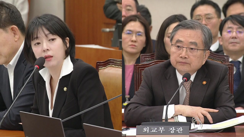 "몇 사람의 SNS일뿐"…외교장관 인식 놓고 질타