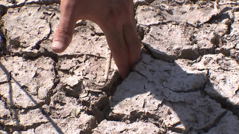 폭염 뒤 가뭄 잇따라…'연쇄 기후 재난' 8배 증가