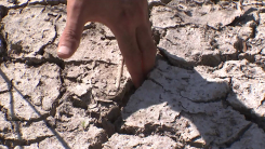 폭염 뒤 가뭄 잇따라...'연쇄 기후 재난' 8배 증가