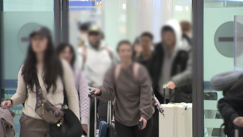 두바이발 직항편 출발…아부다비 290석 전세기 투입