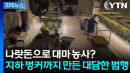 지하 벙커까지 파고 대마 재배...스마트팜 지원금 악용 논란 [자막뉴스]